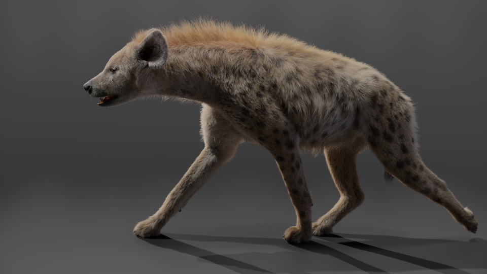 SpottedHyaena Effect map03 result