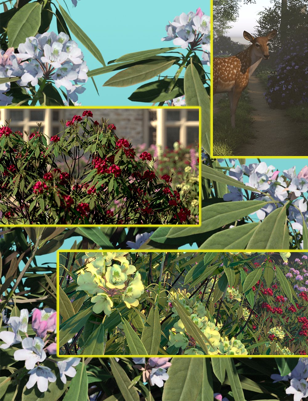 rhododendronbushes00maindaz3d 1756841381