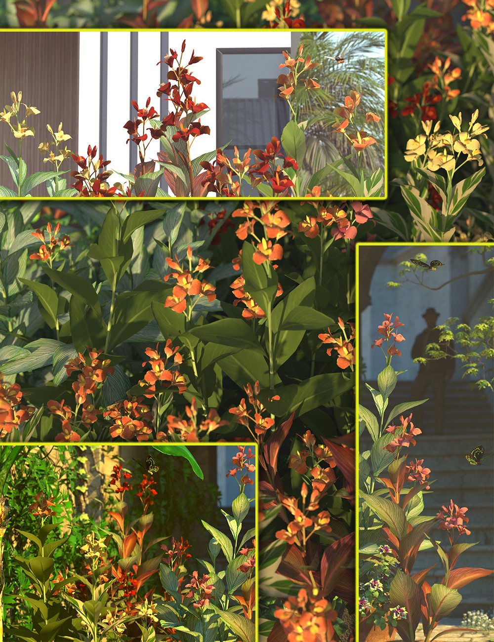 cannafloweringindianshotplants00maindaz3d 1758052472