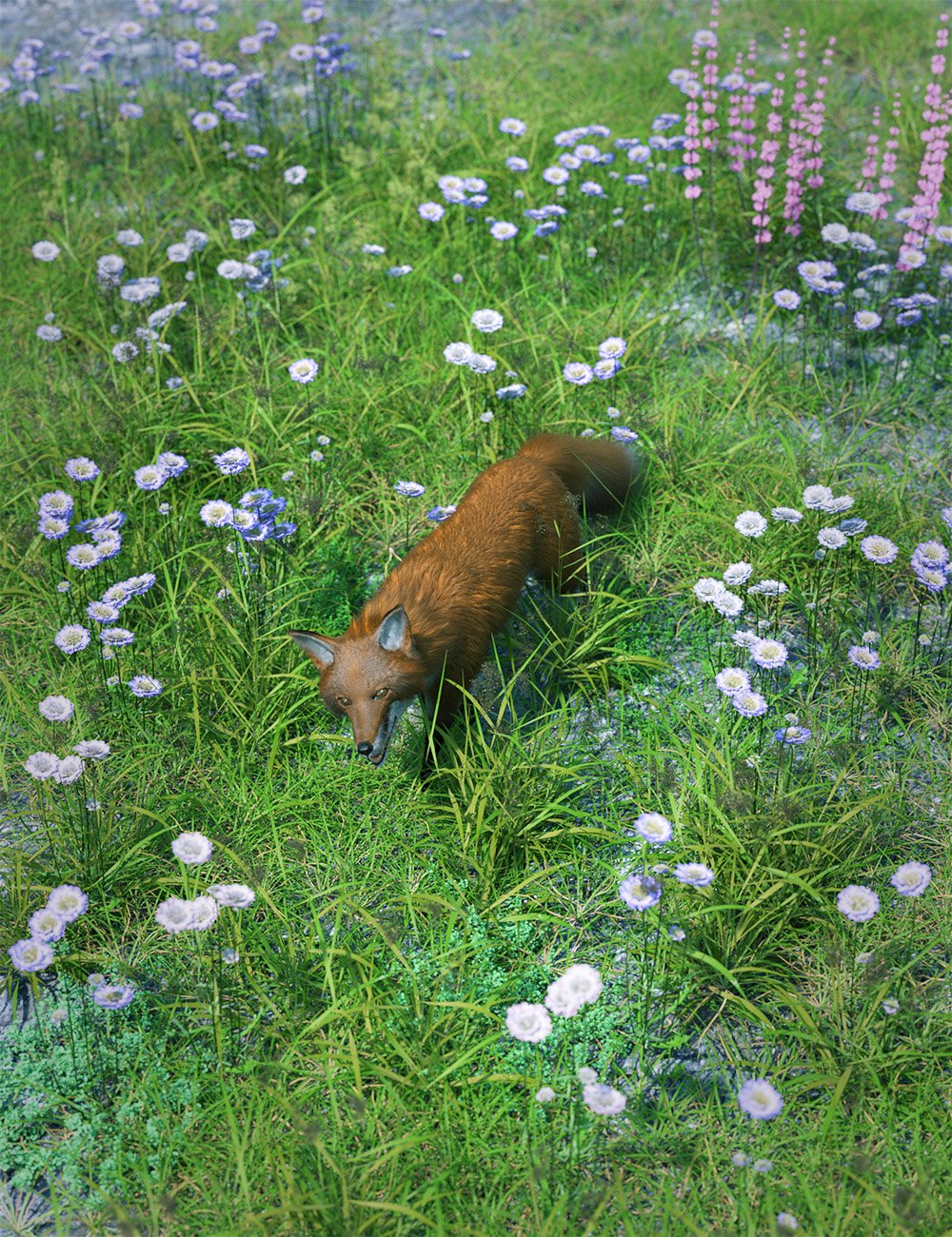 meadowflowersfieldscabious00maindaz3d 1758371093
