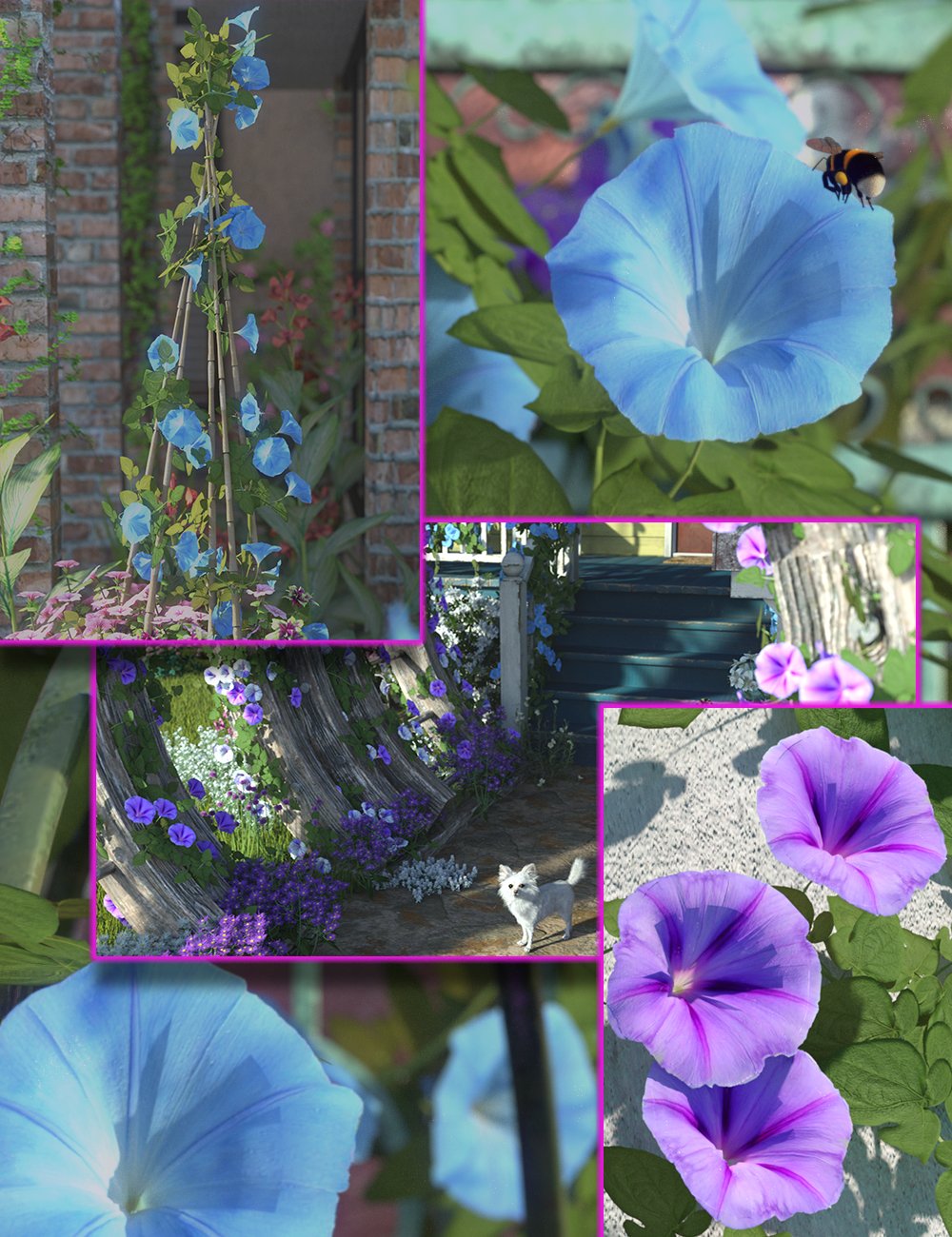 scattersmorningglorywithultrascatter2presets00maindaz3d 1758354292