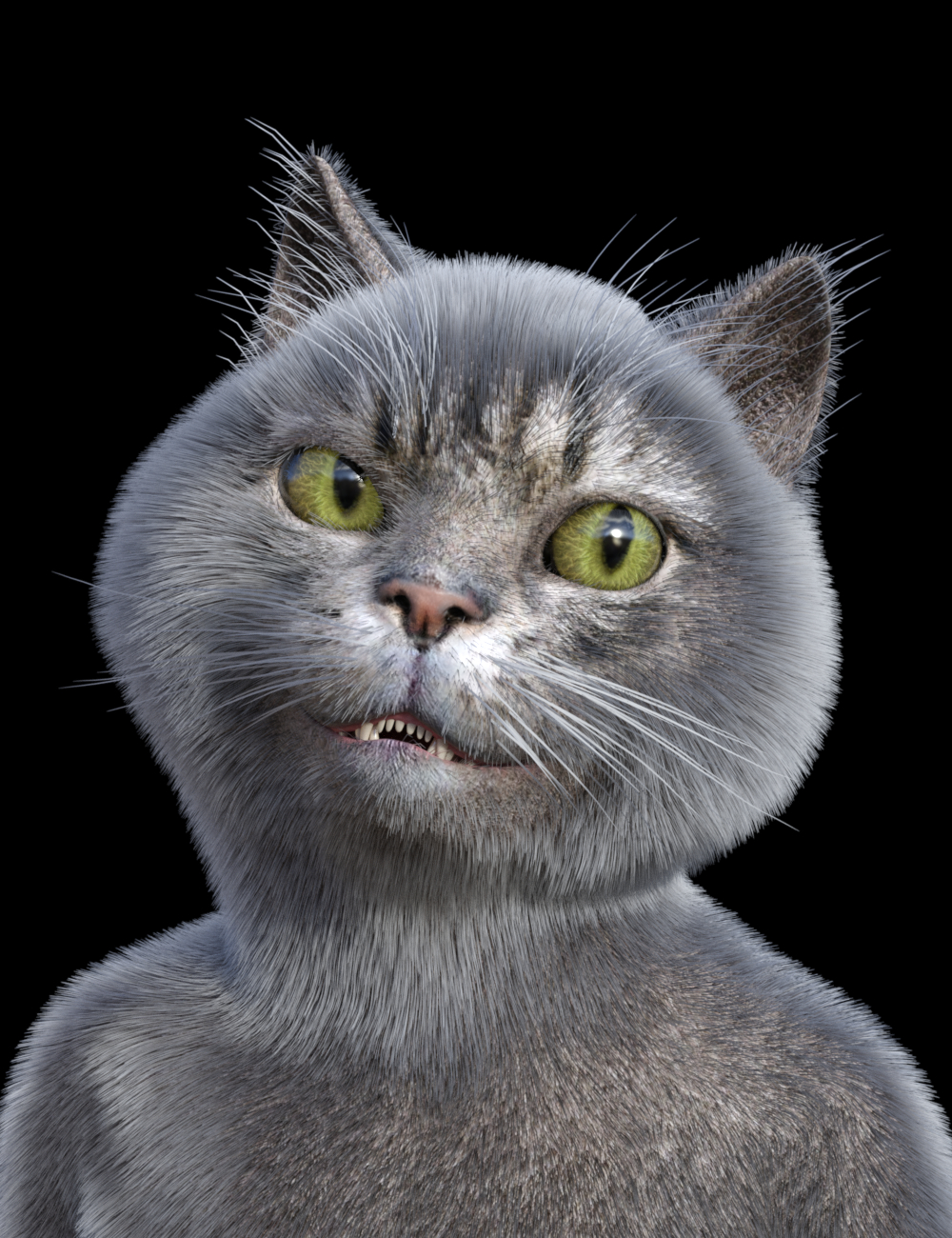 Catoon 2026 - Free Daz 3D Models