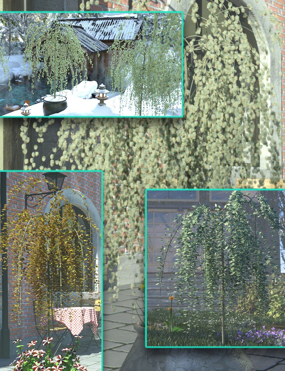 kilmarnockwillowdwarfweepingwillowtrees00maindaz3d 1759263431