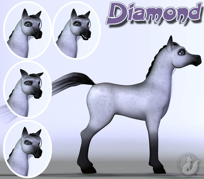product image full 3898 1760366643