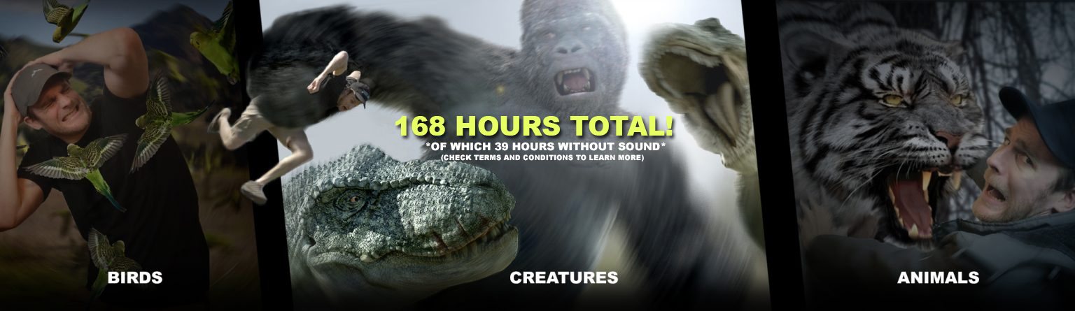 VFX Animation Masterclass 1 https://new.imagehostx.com/upload/2025/11/03/VFXlandingpage2_1762161371.jpg