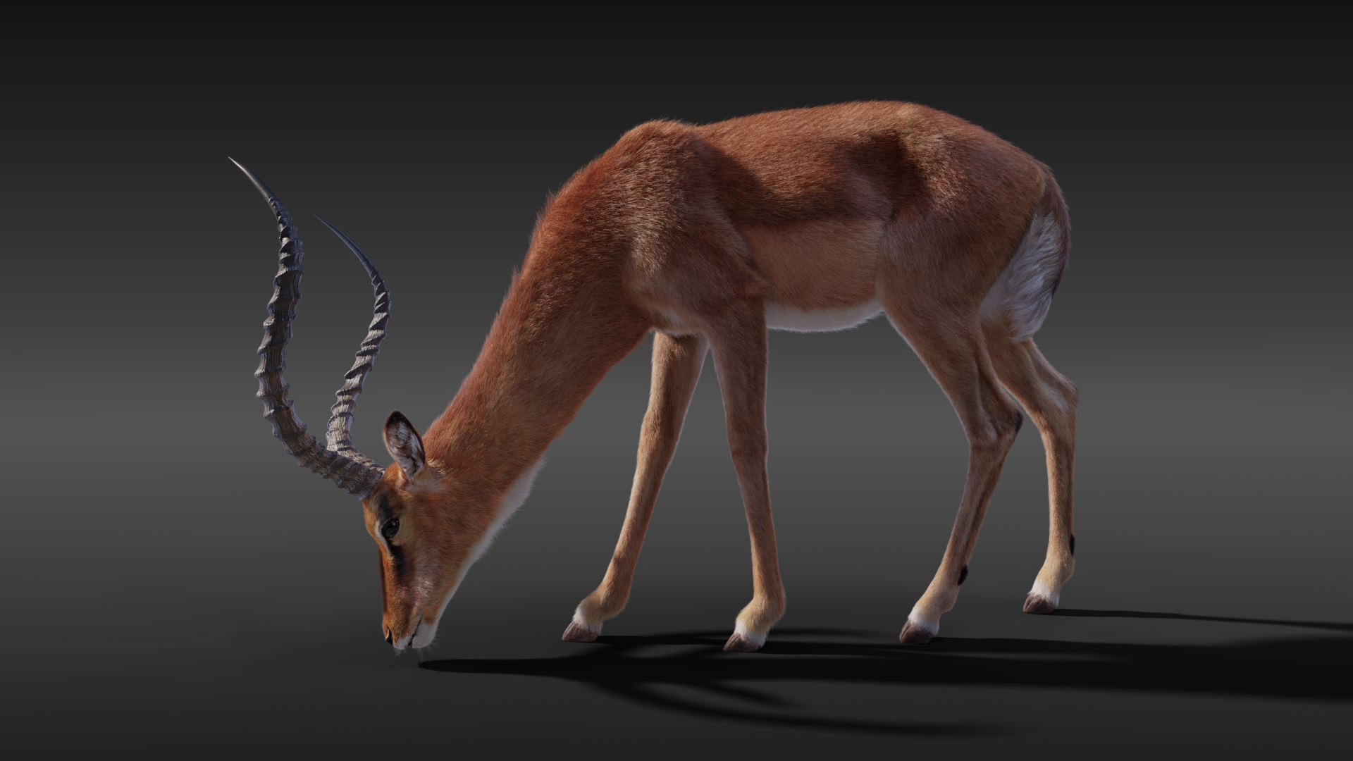 Impala Effect map01 result 1763943894
