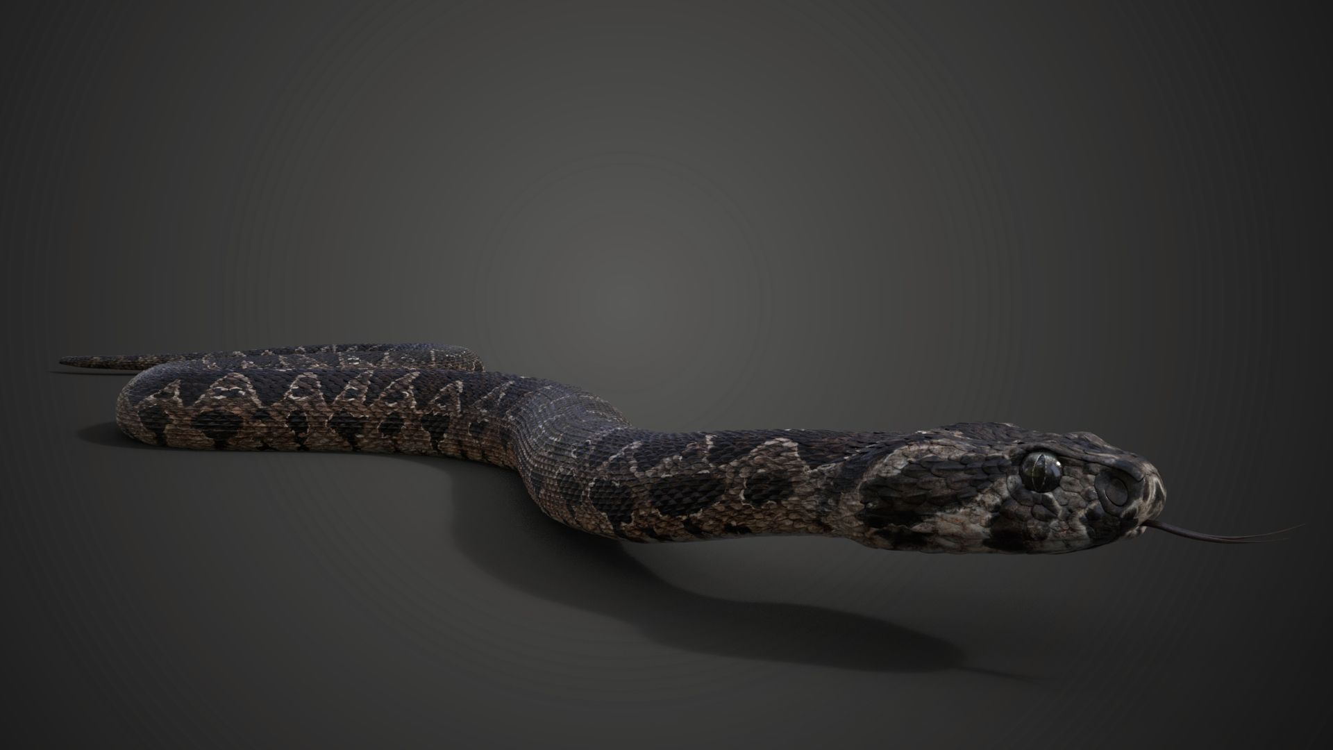 JF0L811A0 Palestineviper Effect map07 1764081087