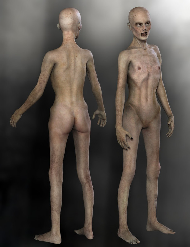zombie dawn 1766176827