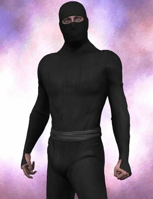 ninjasuit large 1766694441