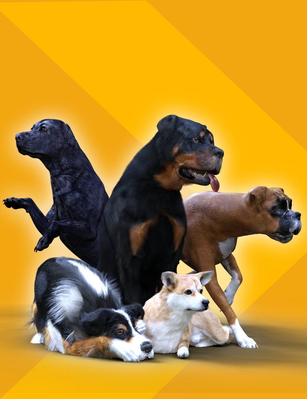 dapawfectposesfordazdog800maindaz3d 1767183142