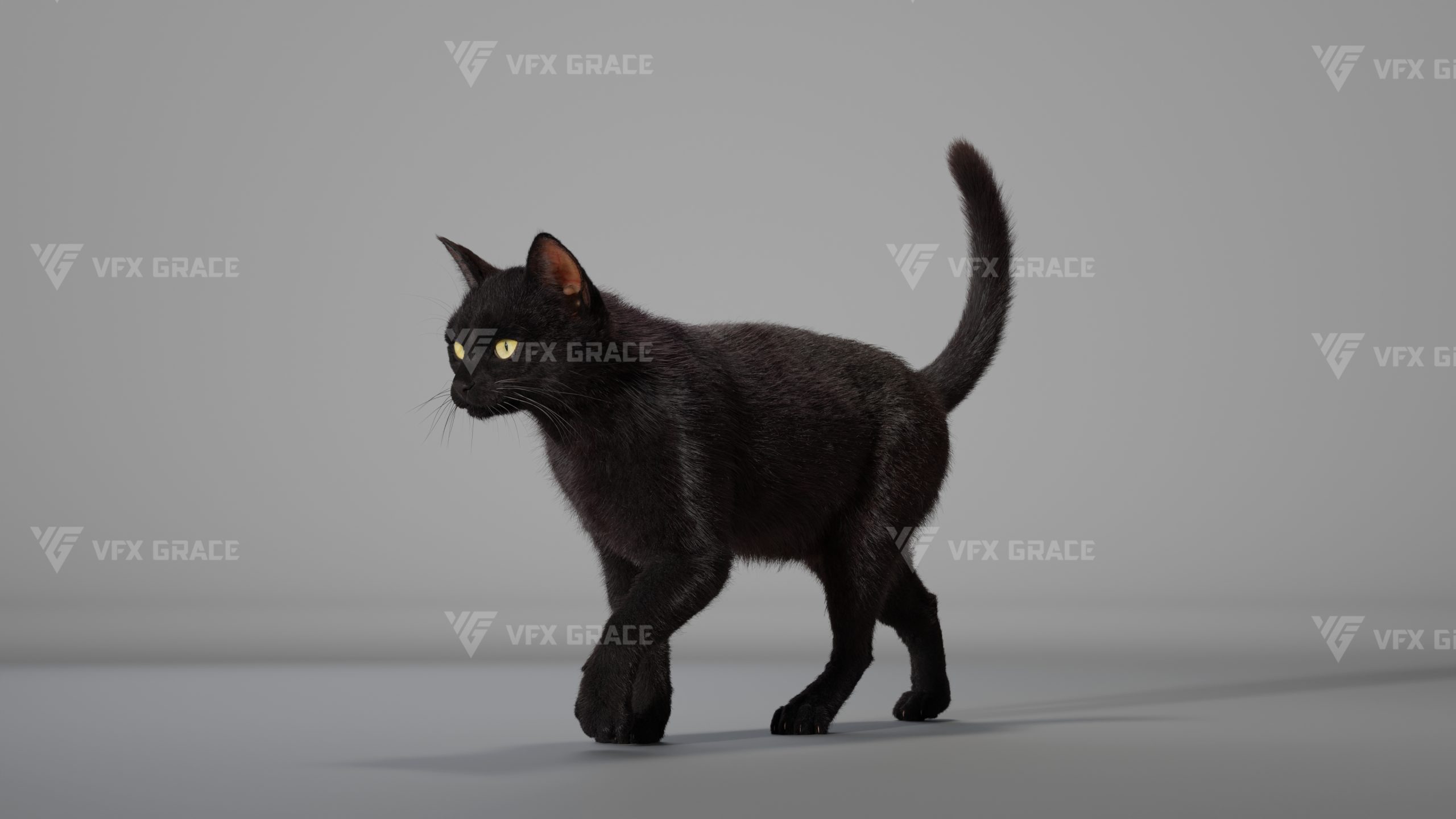 JW0O6V0A BlackCat Effect map08 scaled 1768325063