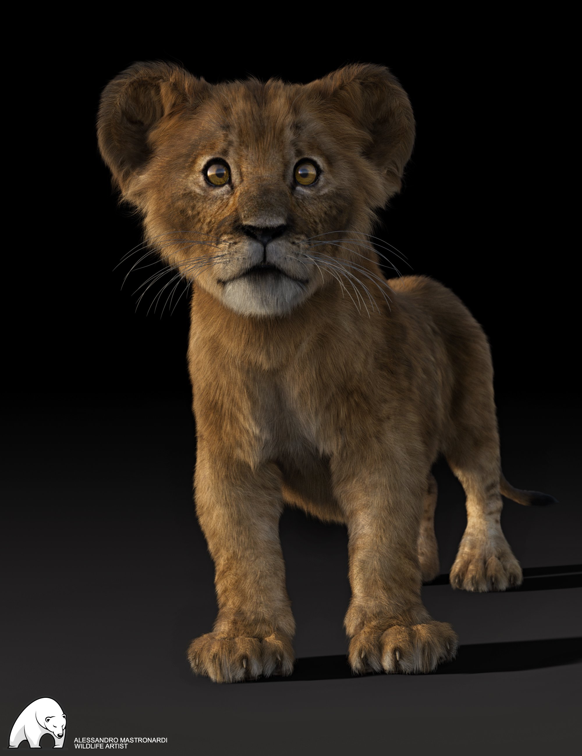felidae by am kimbo the lion cub 00 main daz3d 1769960251