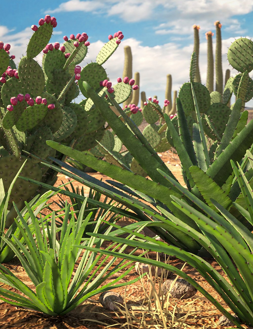 predatronagaveandpricklypearplants00maindaz3d 1770058655