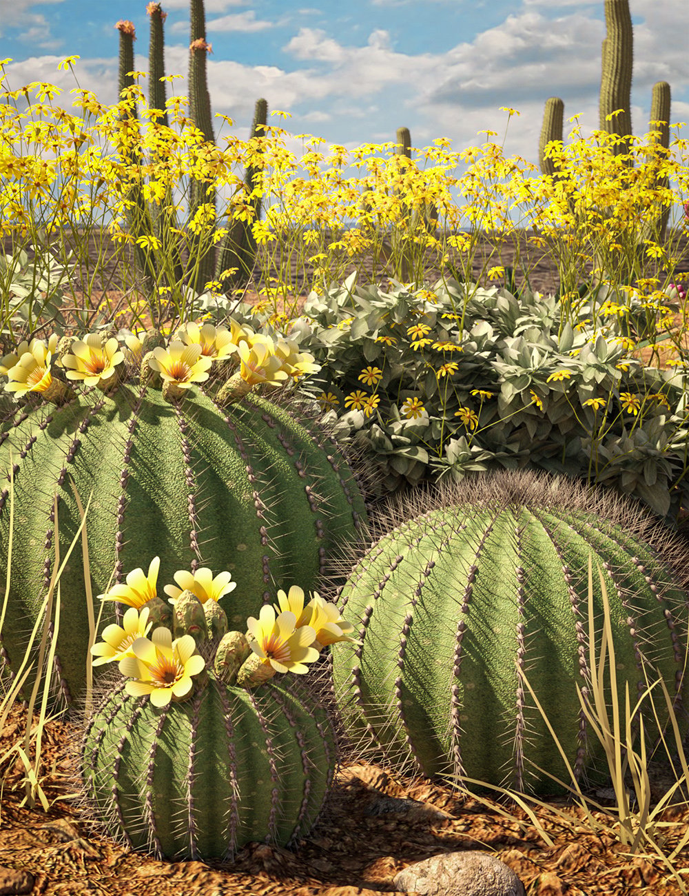 predatronbarrelcactusandbrittlebushplants00maindaz3d 1770058437