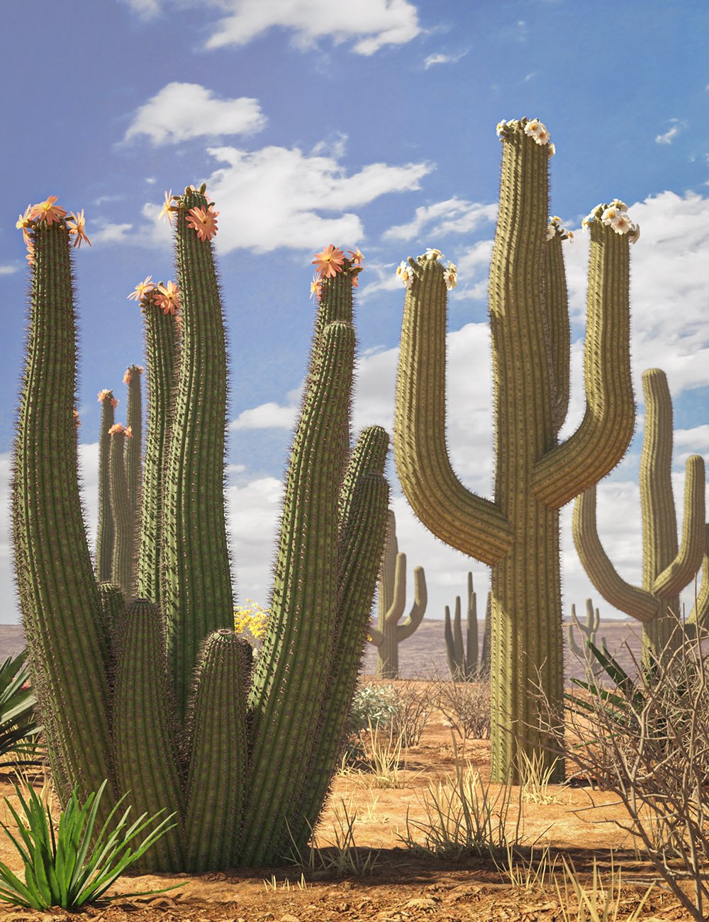 predatronorganpipeandsaguarocactusplants00maindaz3d 1770058866