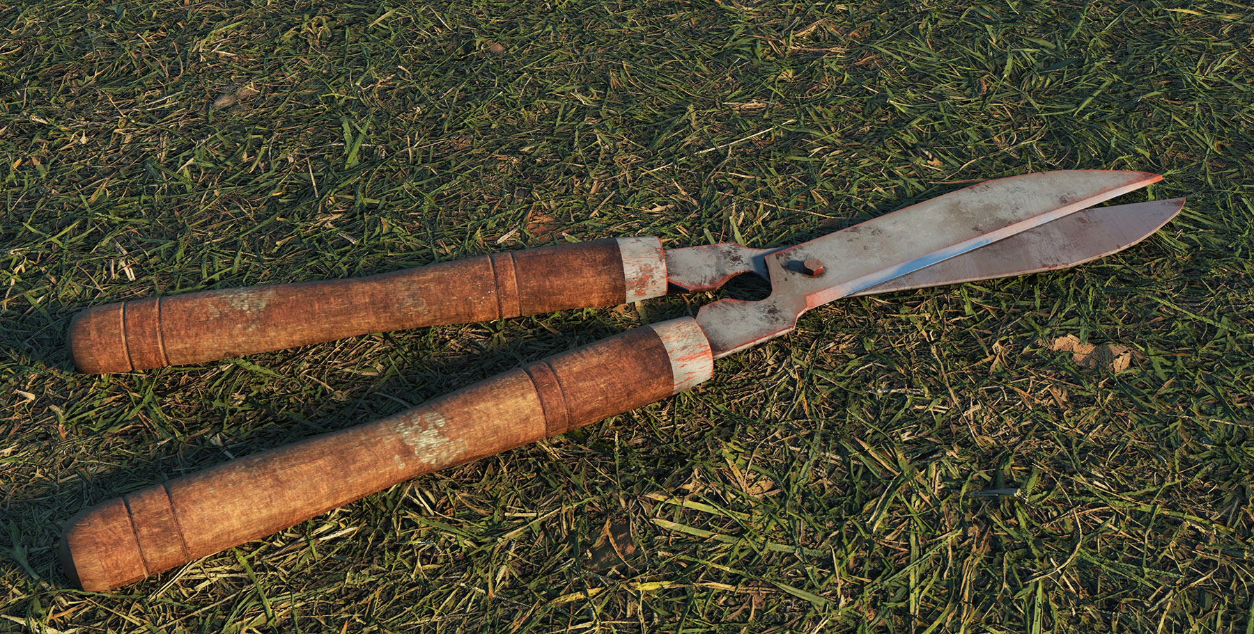 Old garden shears