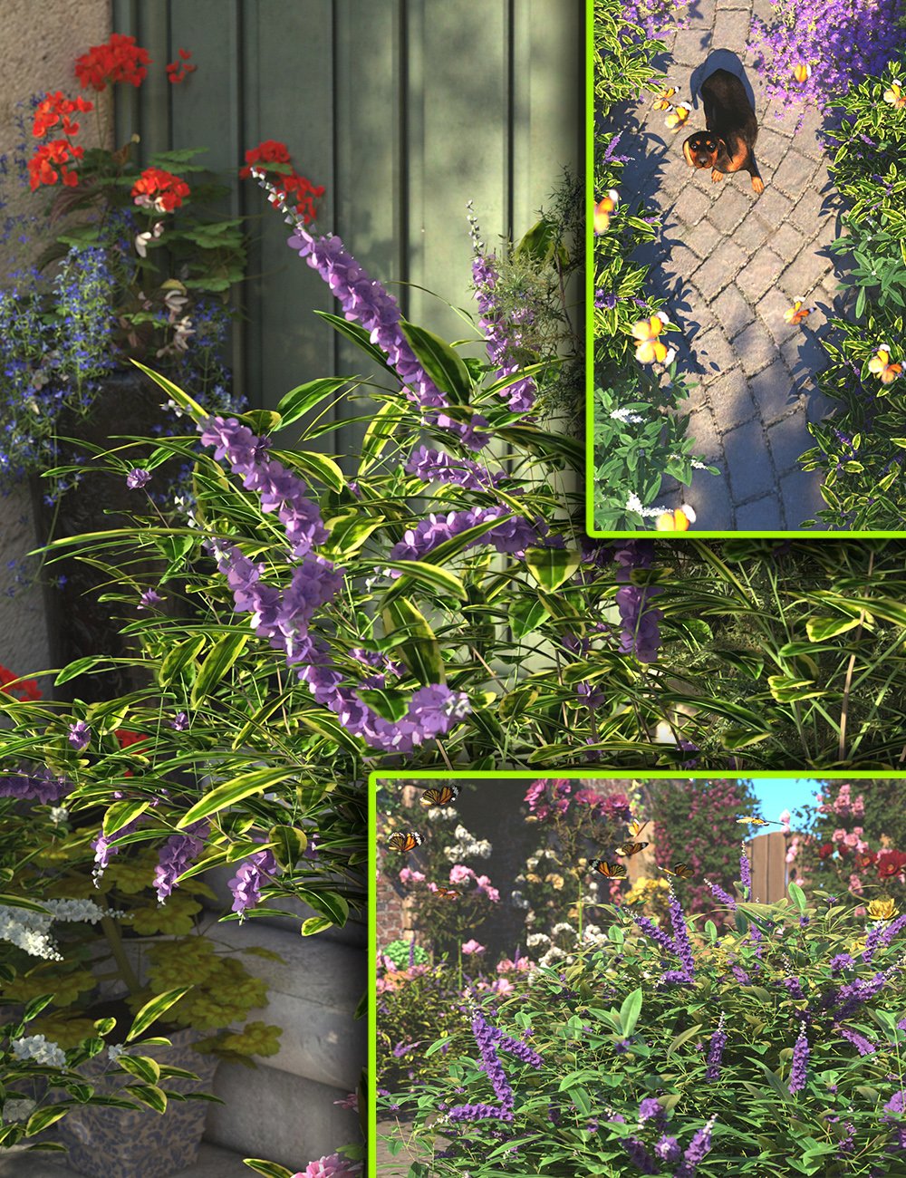 floweringhebebushes00maindaz3d 1770156225