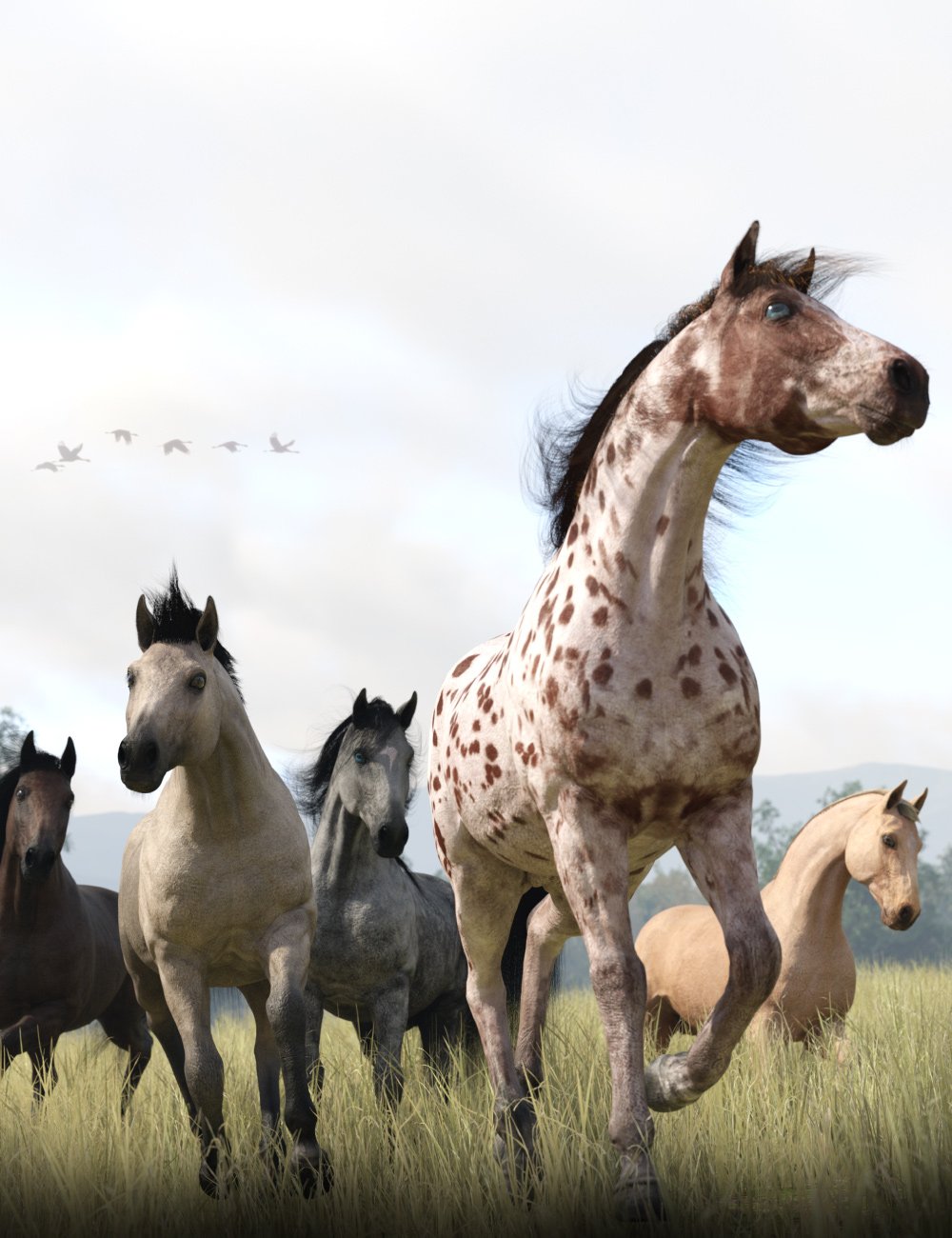 The DA Daz Horse 3 Pro Material Set 1 The DA Daz Horse 3 Pro Material Set