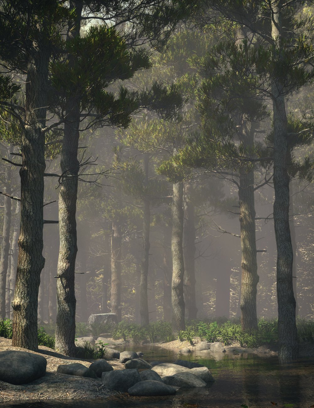 botanicalspinetrees00maindaz3d 1770715489