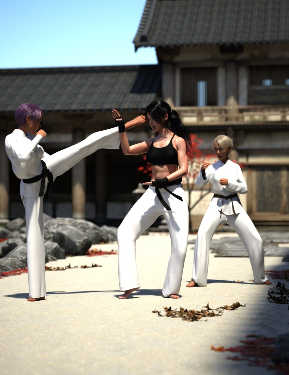 kyokushin karate pose pack for genesis 8 00 main daz3d 1770732500