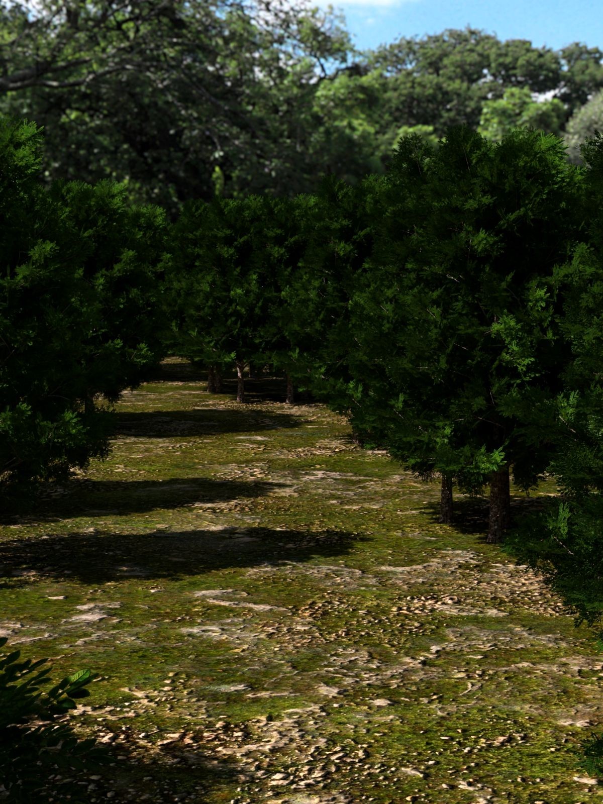 Labyrinth 1 https://new.imagehostx.com/upload/2026/02/21/full-c8d13f829159236b6de86e5d63b795b4_1771670546.jpg