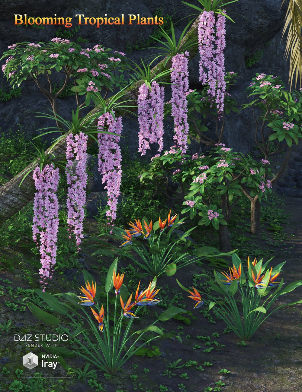 Blooming Tropical Plants 1 https://new.imagehostx.com/upload/2026/02/27/00-main-blooming-tropical-plants-daz3d_1772205627.jpg