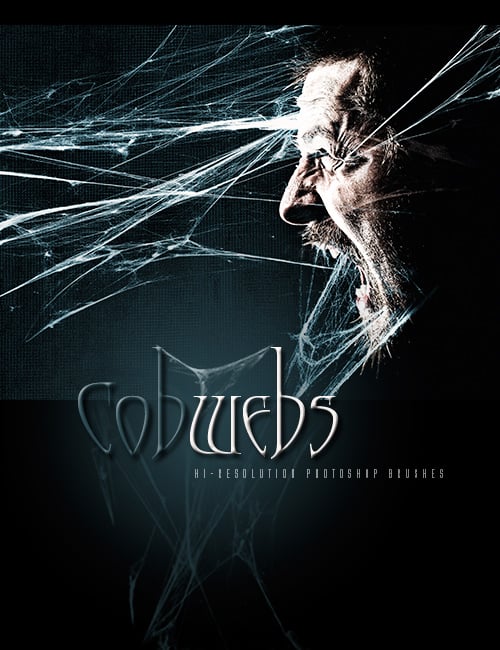 rons cobwebs large 1773174315