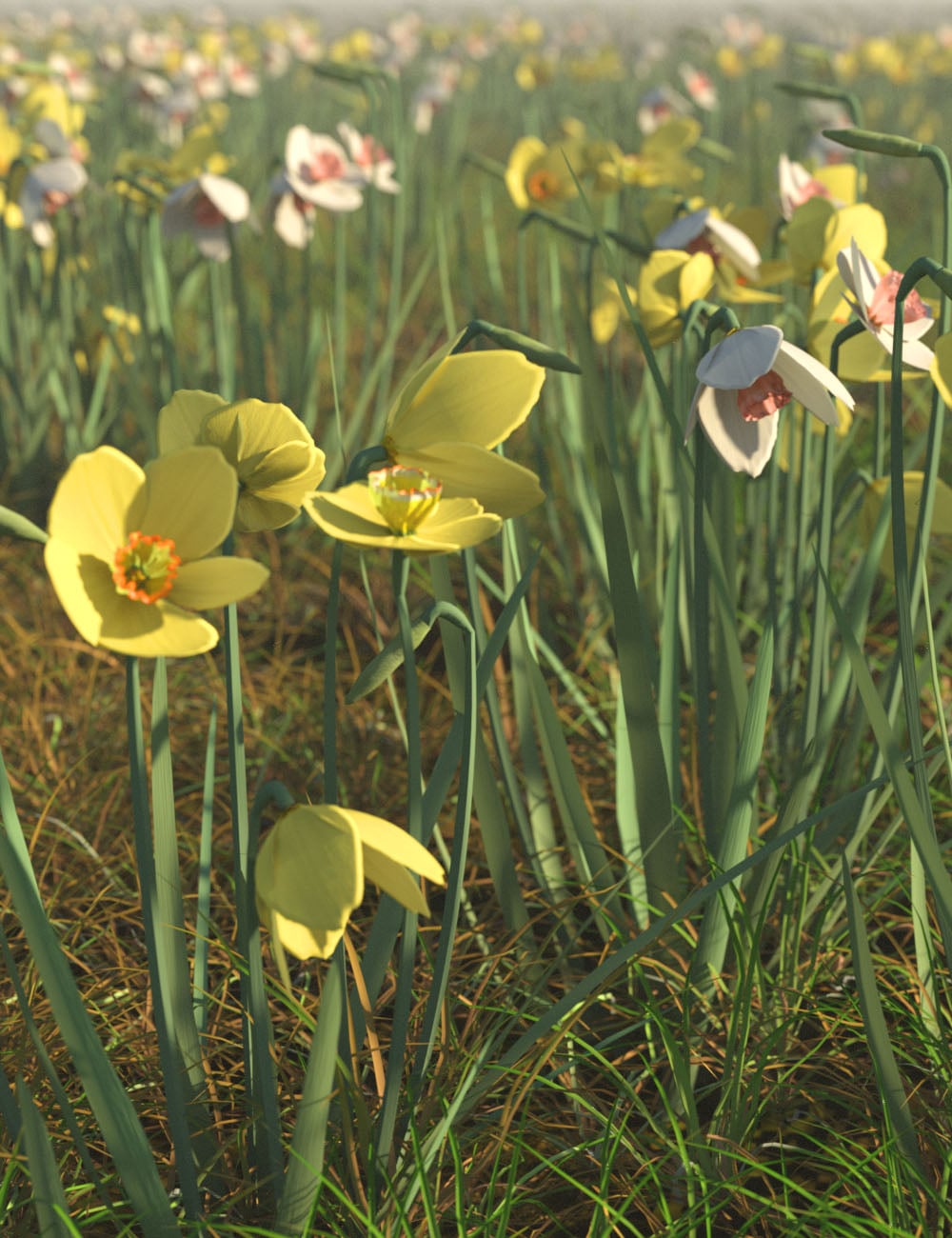 springflowersnarcissus00maindaz3d 1773168944