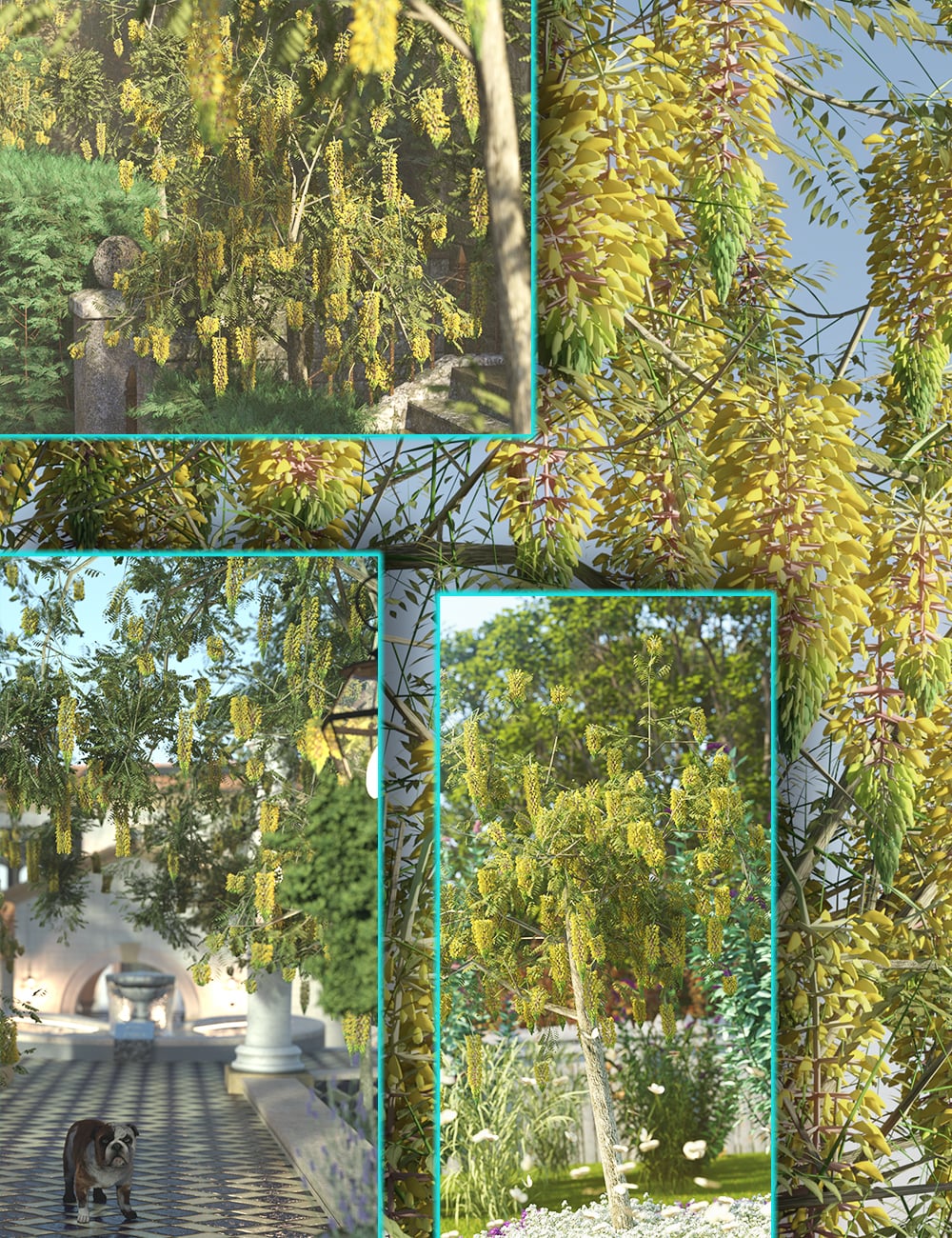 floweringtreeslaburnum00maindaz3d 1774024822