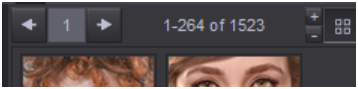 Model Count