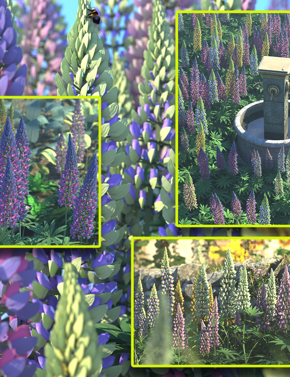 lupins 1775250224