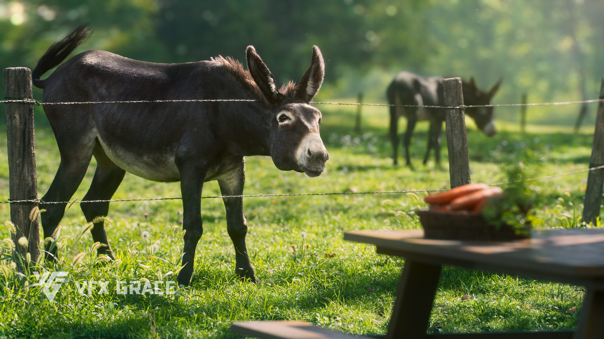 JF0L902A1 Donkey Display WatchCarrots 01 scaled 1775590714