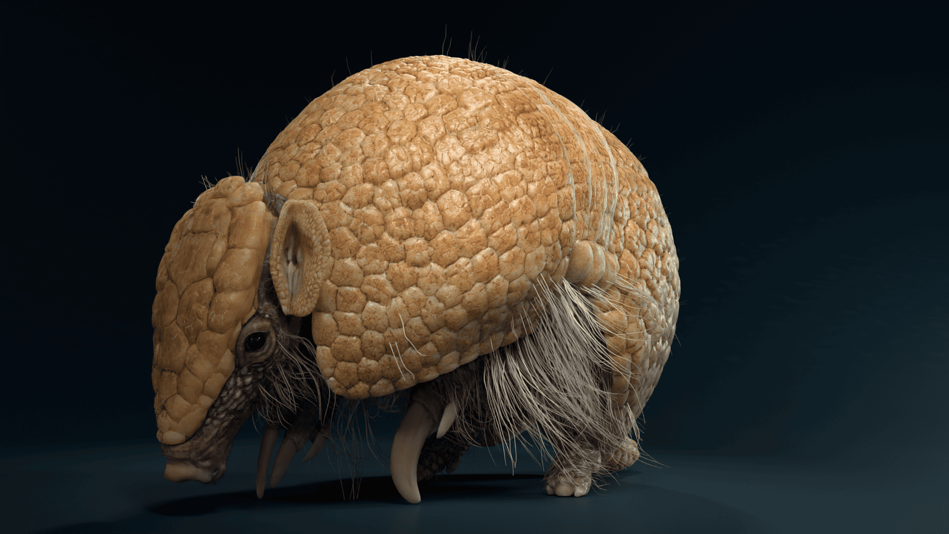 JU0K517A0 Armadillo Effect map03 result 1777139680