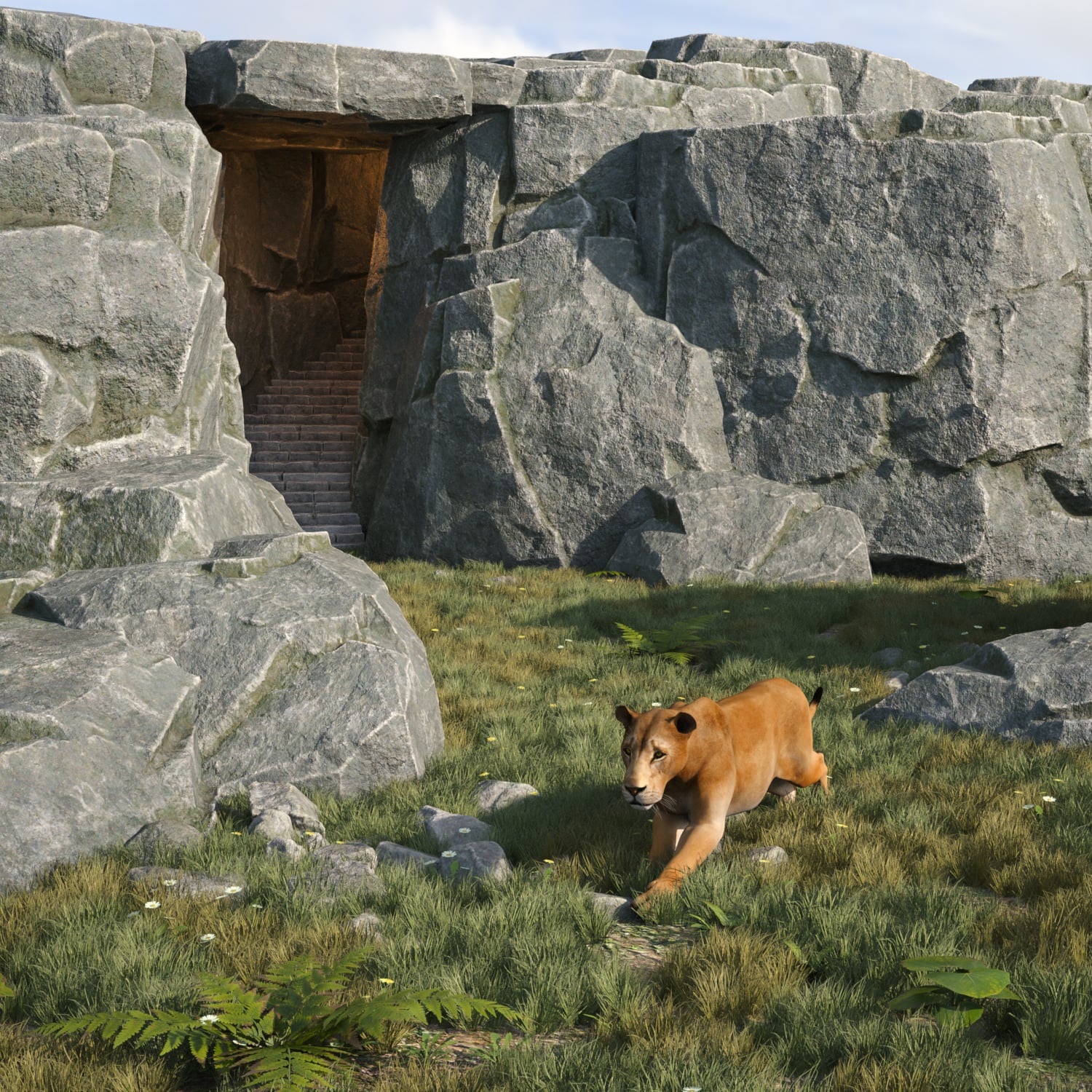 rockyarea01daz3d 1777397125