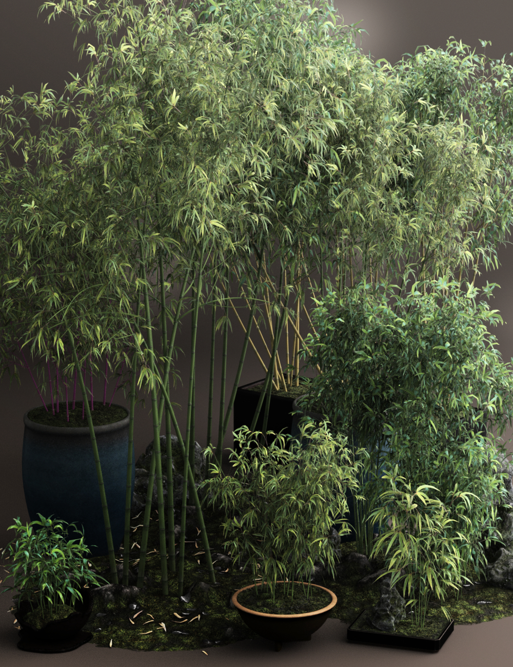 v176bamboopack00maindaz3d 1777768240