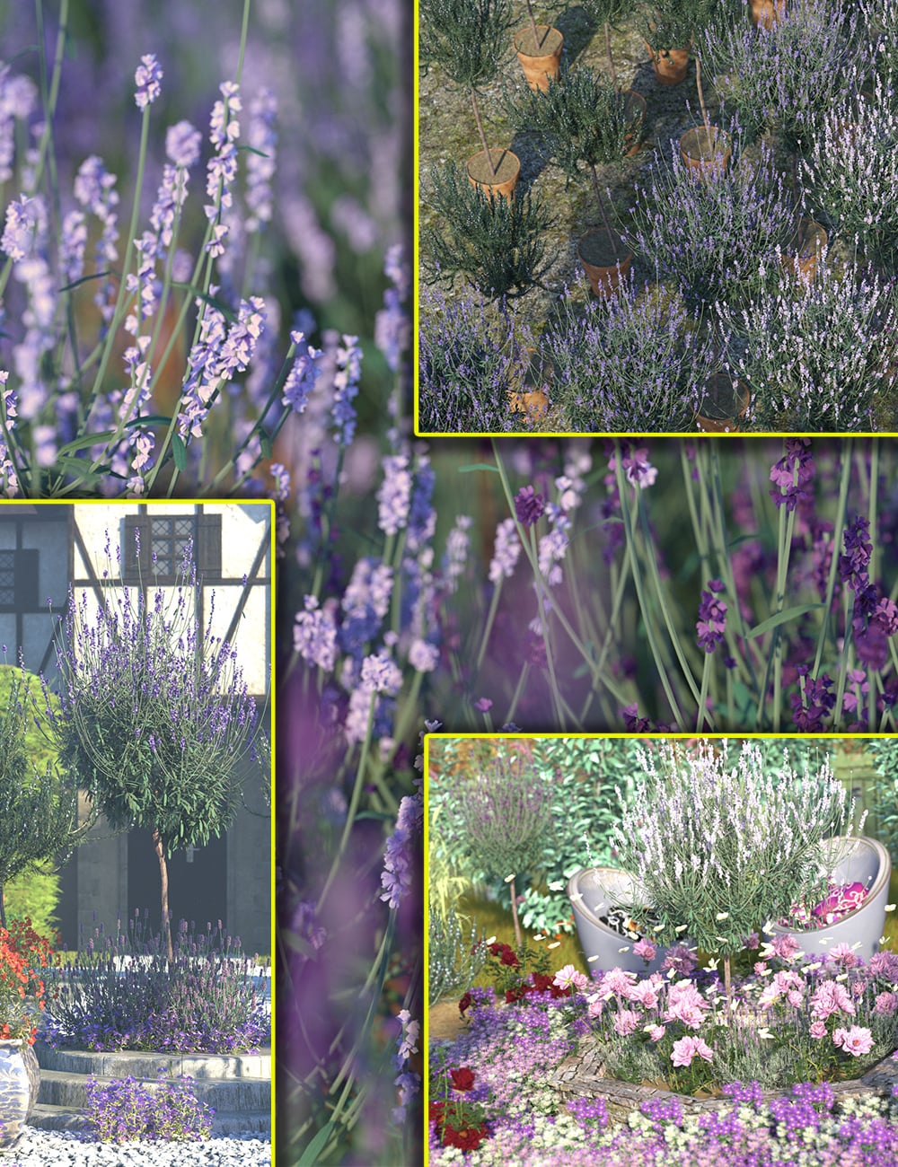 formalherbbushes00maindaz3d 1780386011