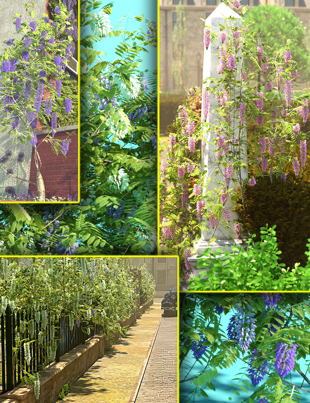 Wisteria Bushes and Wall Shrubs 42 wisteriabushesandwallshrubs00maindaz3d 1781764328
