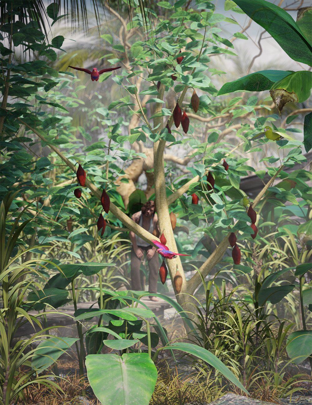 Tropical Plants Edible