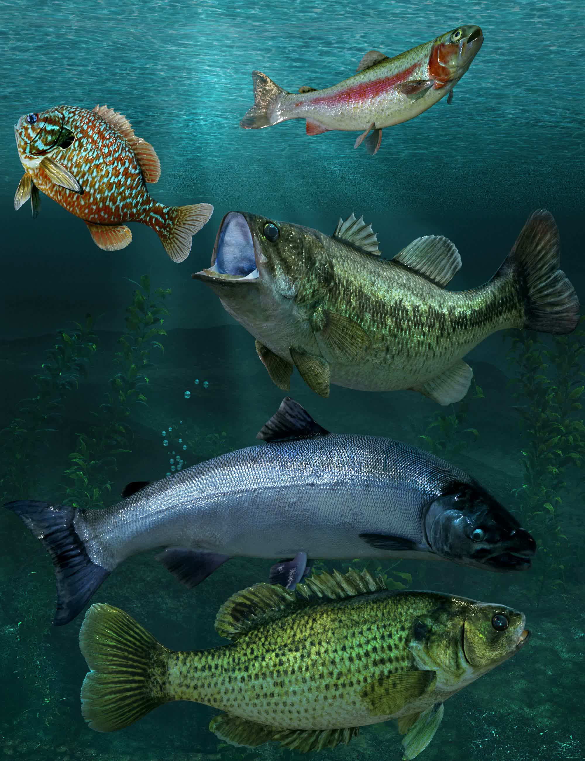 freshwatergamefish00maindaz3d 1782355669