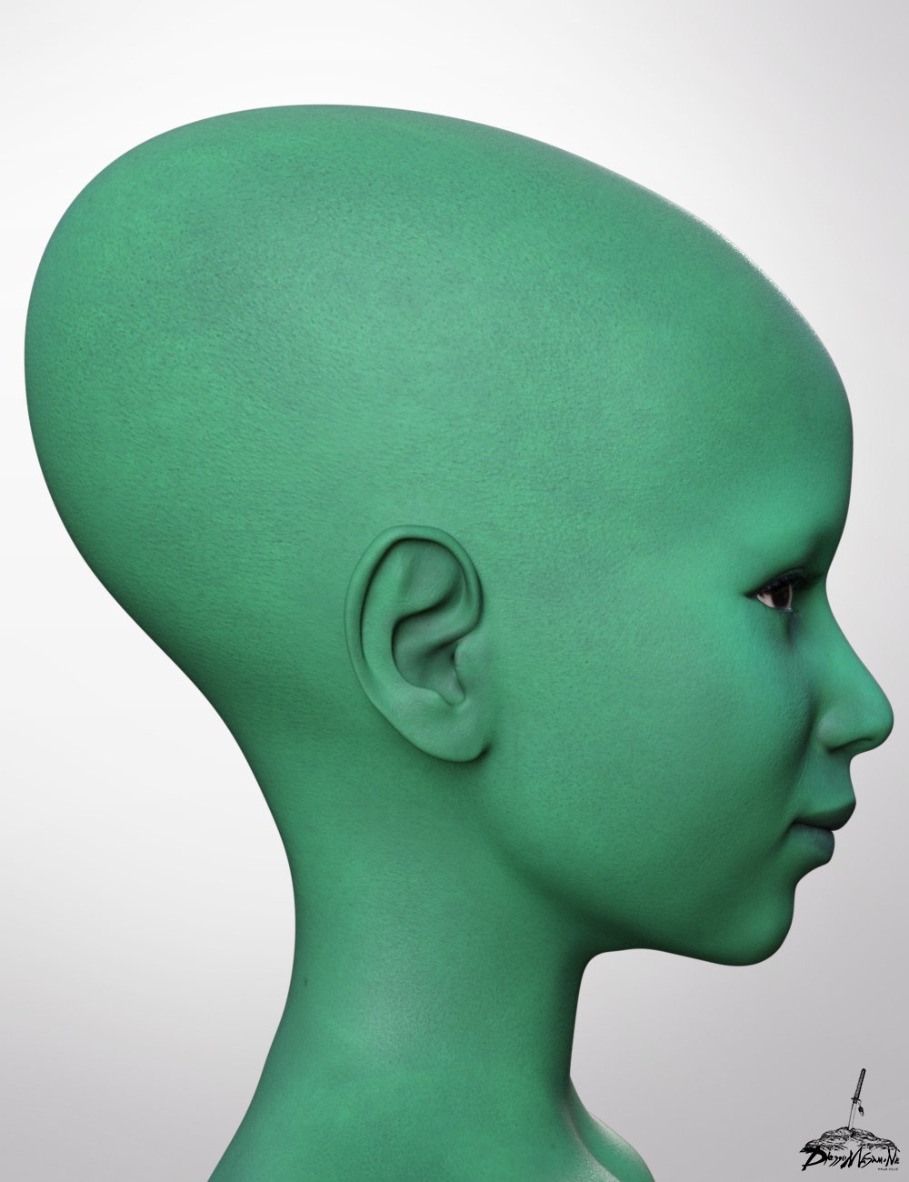 Head Morphs for Genesis 9 1782483797