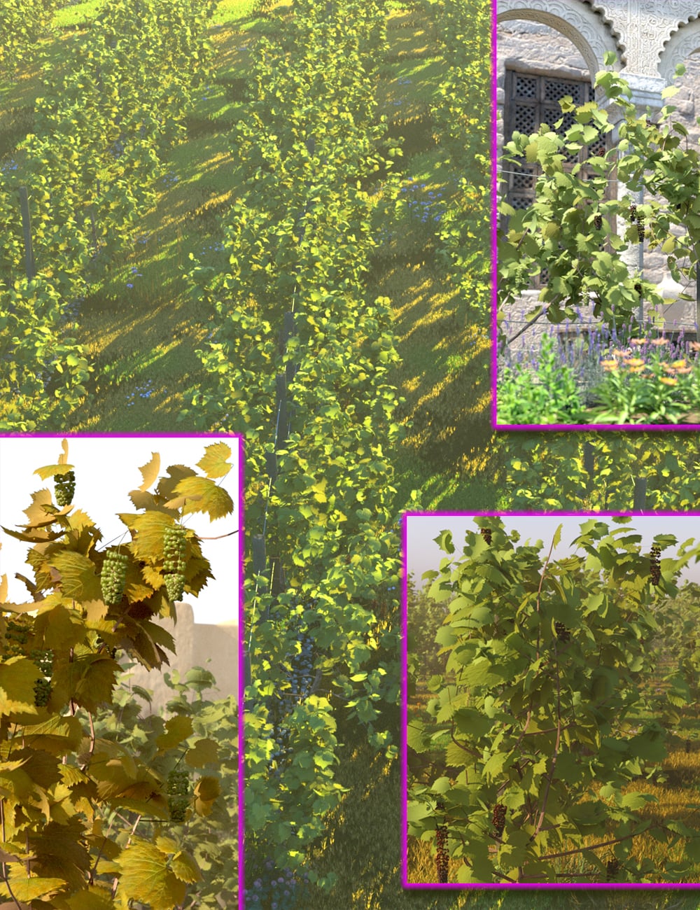 Vineyard Kit - Grape Vines and Supports 1 https://new.imagehostx.com/upload/2026/06/28/vineyardkitgrapevinesandsupports00maindaz3d_1782626907.jpg