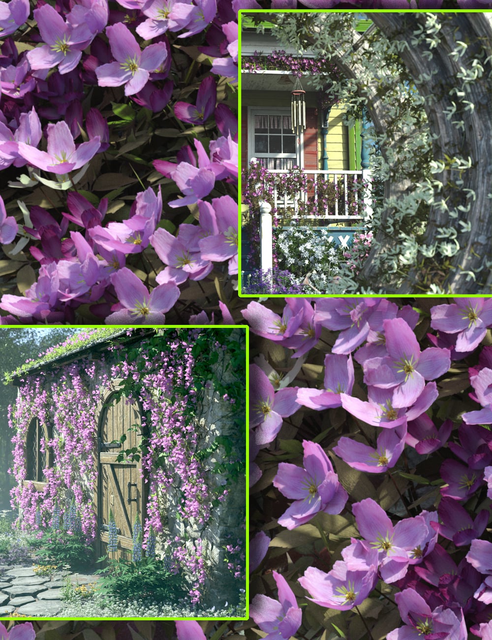 Scatters - Clematis Montana - With Ultra Scatter 2 Presets 1 https://new.imagehostx.com/upload/2026/07/08/scattersclematismontanawithultrascatter2presets00maindaz3d_1783491206.jpg