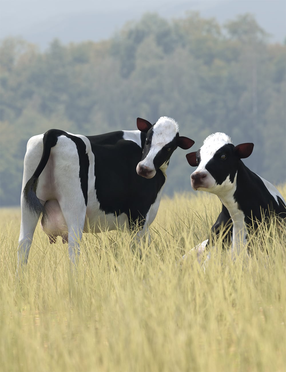 grazingqueenposesforcowforhorse300maindaz3d 1783583354