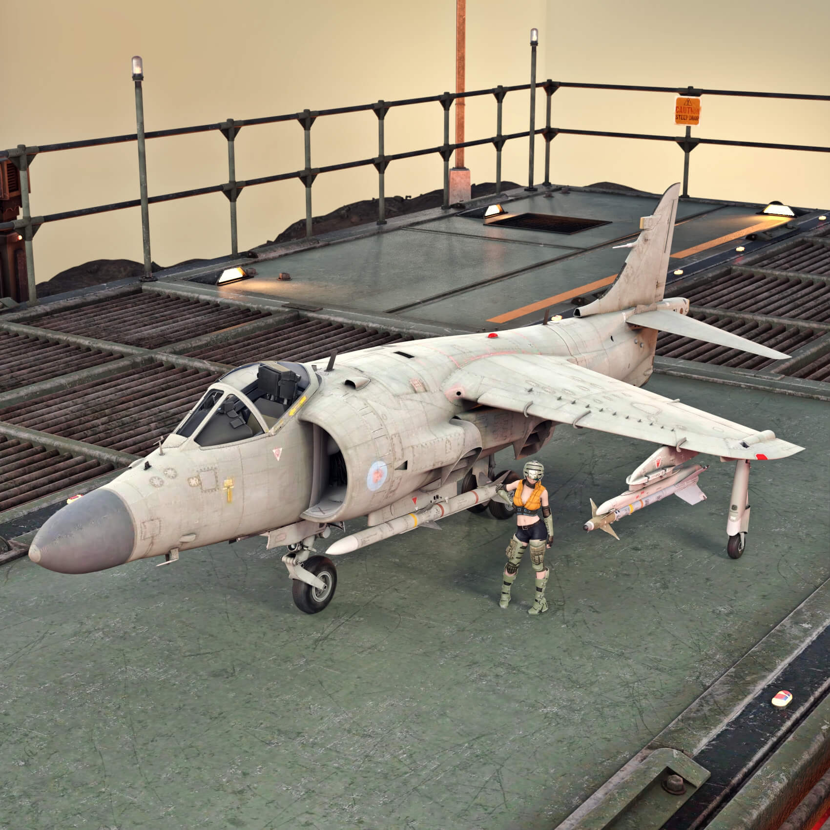 frs1 sea harrier plane with wt for daz3d 01 1784367529