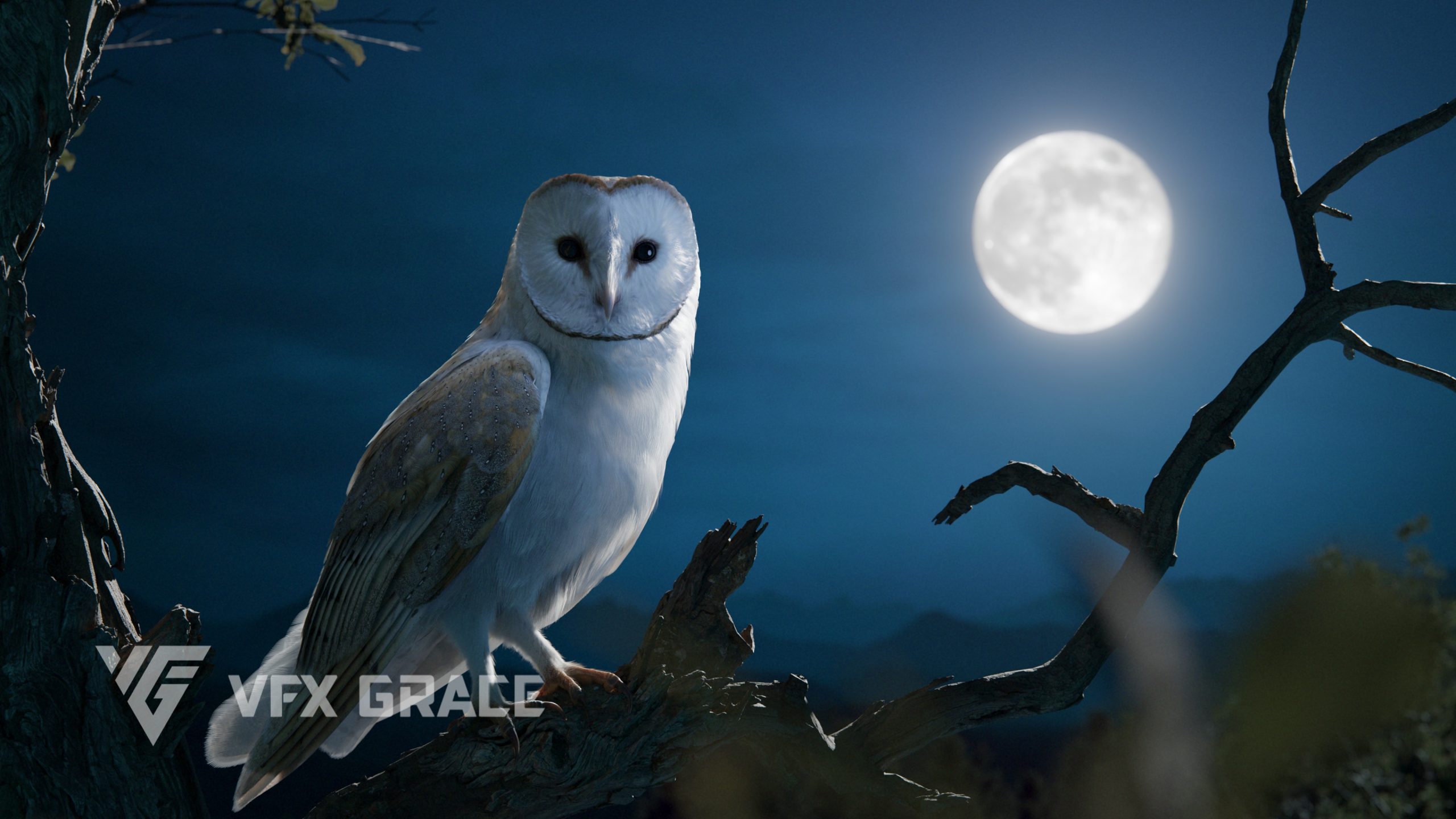 Photorealistic Barn Owl 3D Model - Blender Rigged with Fur 1 https://new.imagehostx.com/upload/2026/07/19/JC0P4000-WesternBarnOwl-Display-Moon-02-scaled_1784486814.jpg