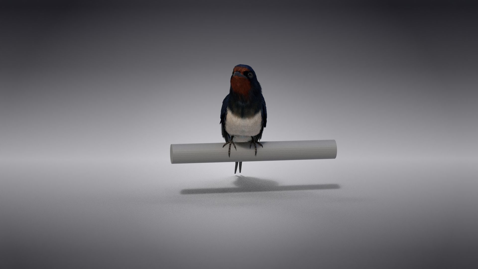 JF0LA12A1 BarnSwallow Effect map01 1784991403