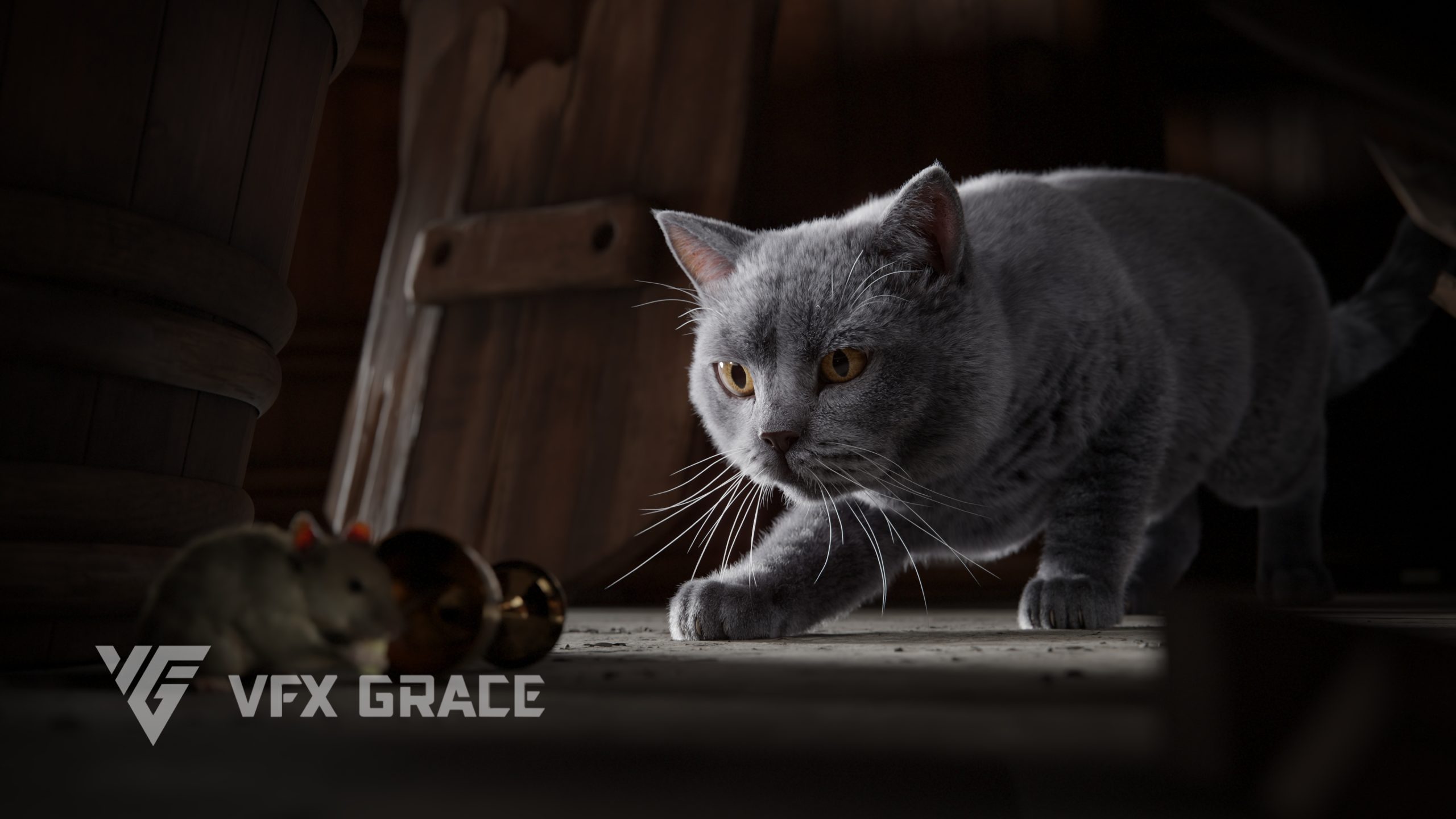 JF0O740A BritishShorthair Display Think 02 scaled 1785495789