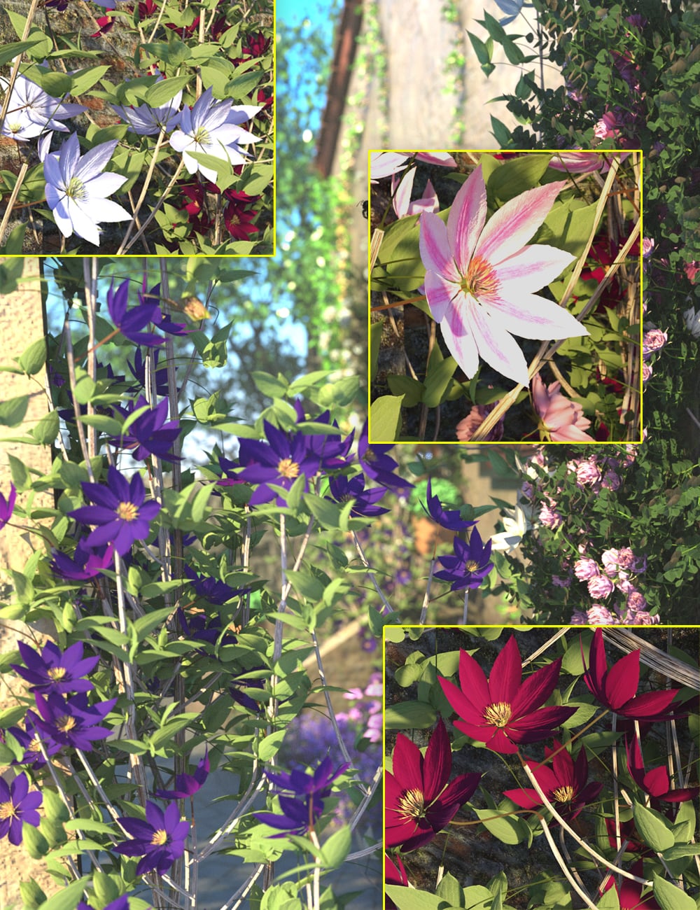 Large Flowered Clematis Plants 1 https://new.imagehostx.com/upload/2026/08/03/largefloweredclematisplants00maindaz3d_1785740745.jpg