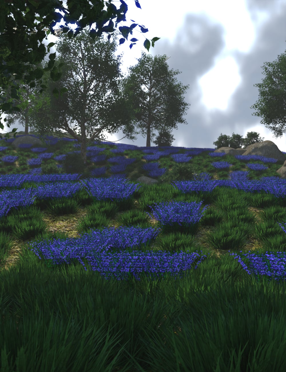 https://new.imagehostx.com/upload/2026/08/03/myhorizonofdreams00maindaz3d_1785743925.jpg