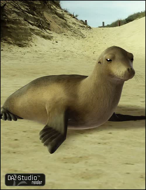 daz seal large 1786409142